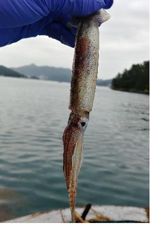 어린물고기 보호에 민·관 힘 합친다…수산자원관리 소통워크숍