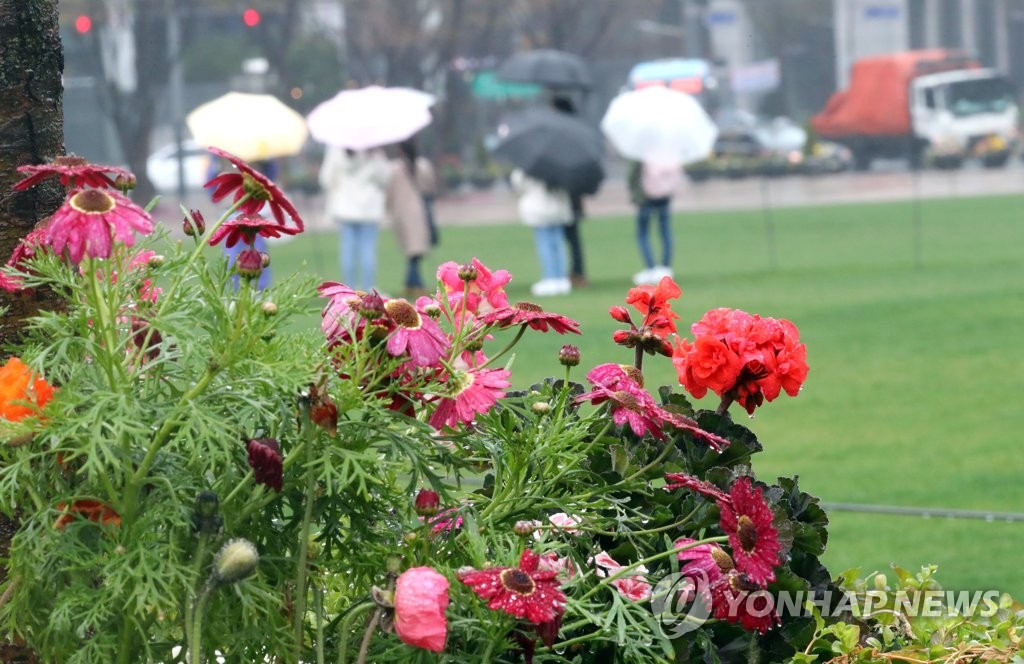 [내일날씨] 전국에 봄비…해안 강풍 주의