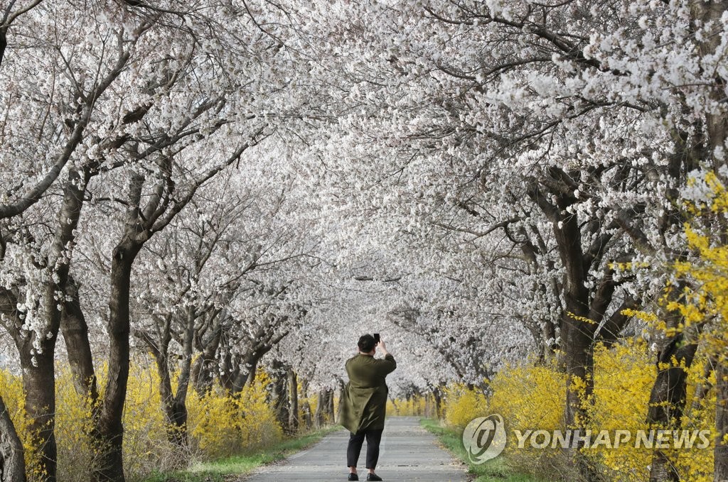 강원 내륙 포근한 봄 날씨 지속…15도 내외 일교차