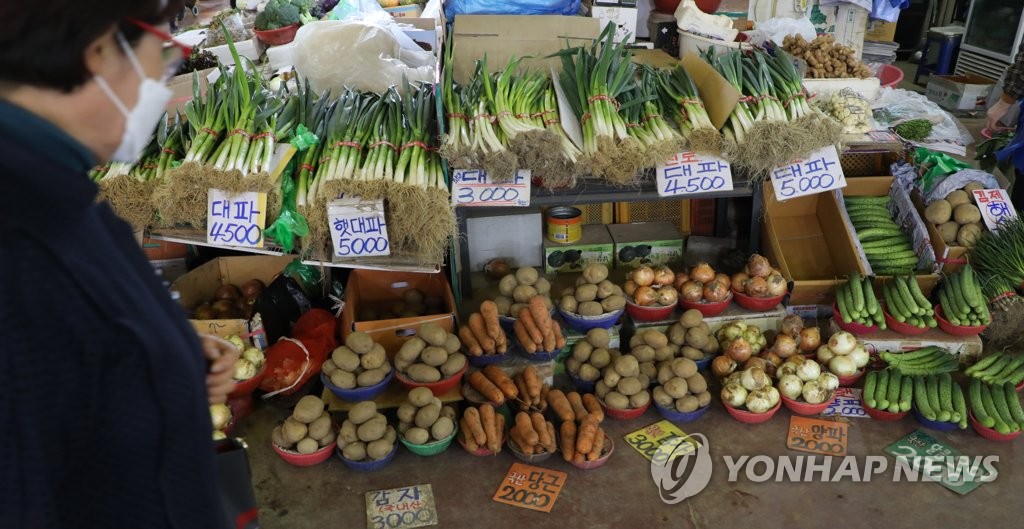 '금파'된 대파, 집에서 길러보세요…해운대구 모종 나눔 행사