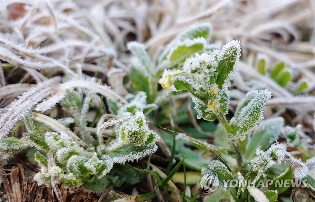 봄꽃도 깜짝 놀랄 강원 한파…설악산 영하 7.8도