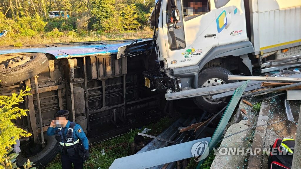 60여명 사상 교통사고 제주대 입구에 인명 지키던 고목 있었다