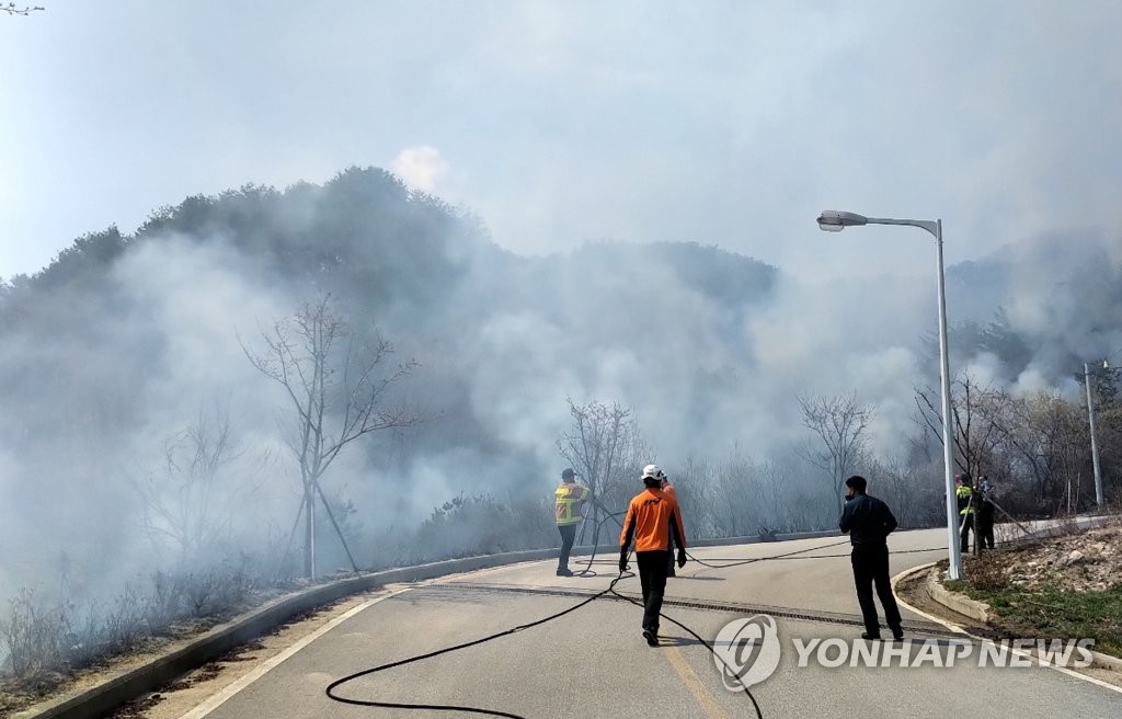 화천 사내면 갈대숲서 불…시초류 0.2㏊ 태워