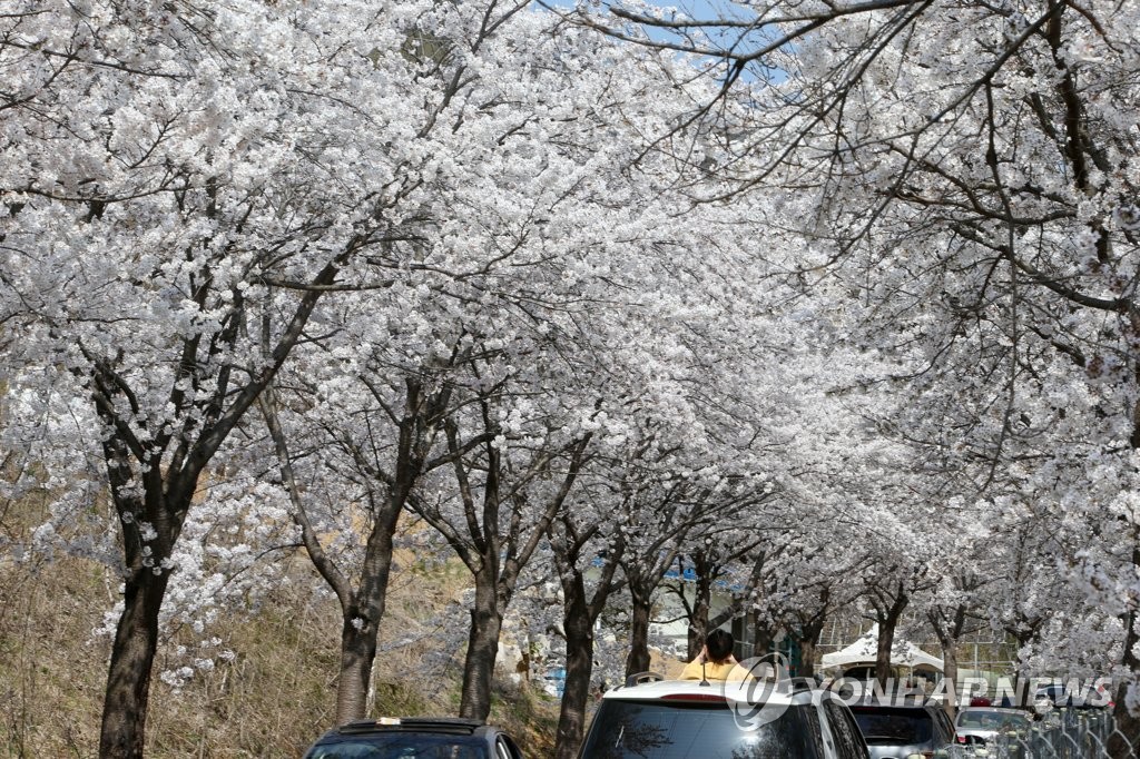 코로나 4차 유행 경고에도…봄볕에 이끌린 나들이객 북적