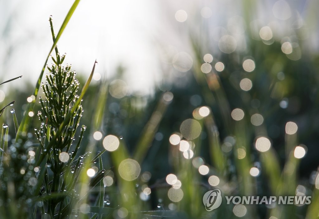 설악산 영하 2도 '쌀쌀'…5㎜ 안팎의 약한 비 내려