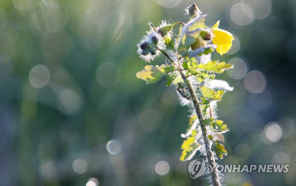 오늘 아침 일부 지역 최저기온 영하…한파특보 내일 낮 해제