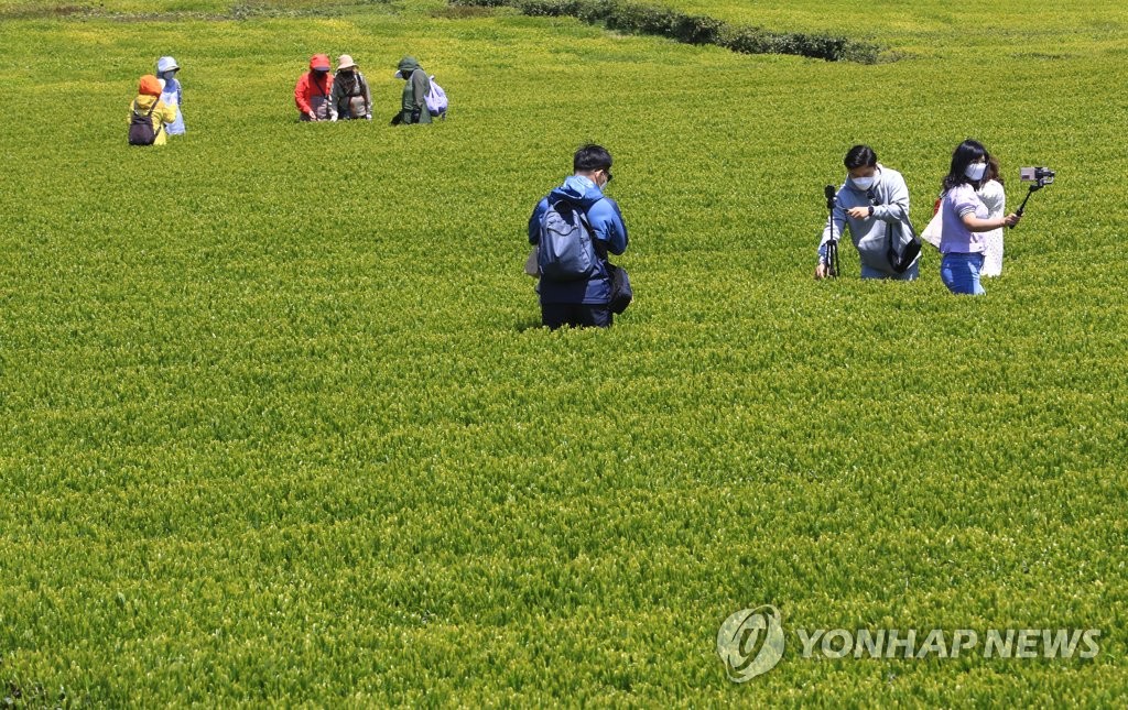 제주 1일 입도 관광객 4만 명 넘어…코로나19 확산 우려