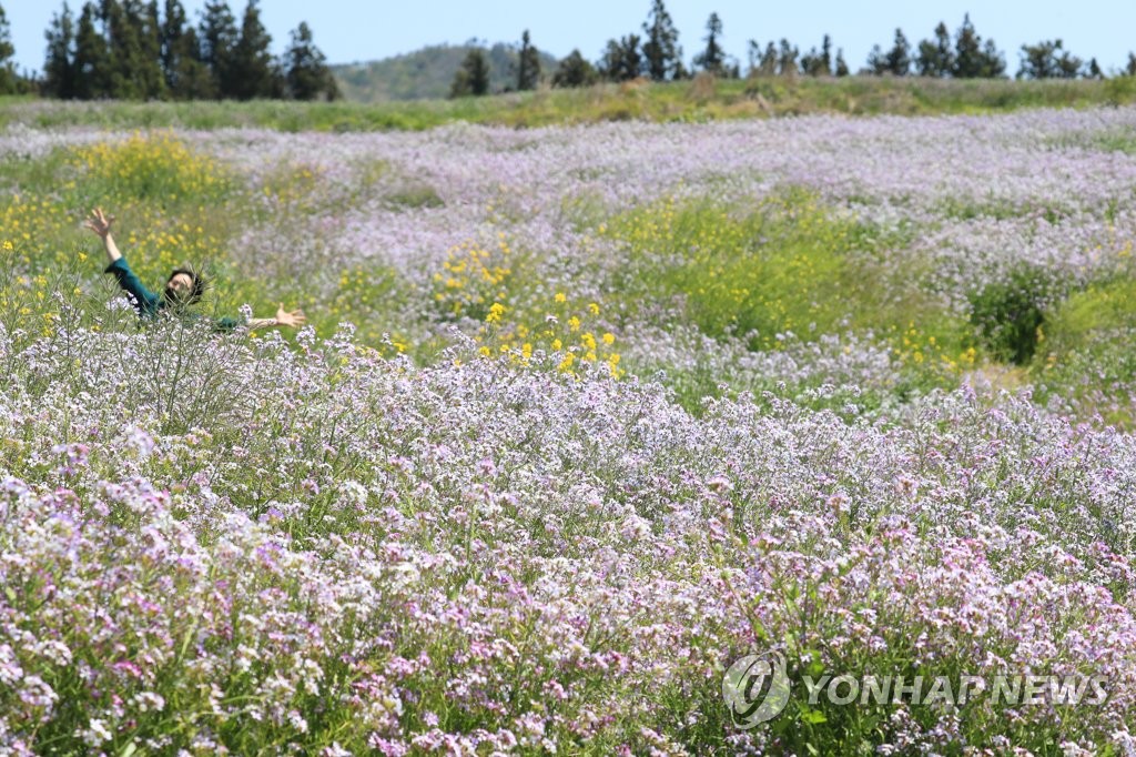 제주, 맑고 산지에 건조주의보…"산불 주의"