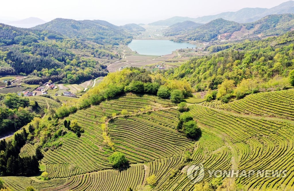 '차 산업 메카' 보성·하동 산업 발전 공동 대응