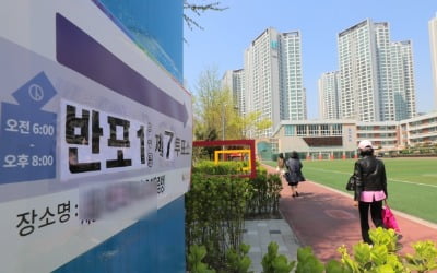 [단독] 25개구 중 강남·서초만 3년 전 선거보다 투표율 상승