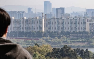 서울 아파트 매수 주춤하지만…30대는 여전히 '패닉바잉'