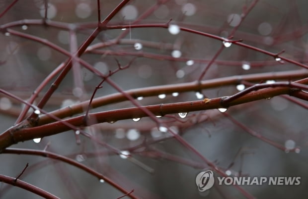 전국 대체로 흐리고 밤부터 남부지방 빗방울