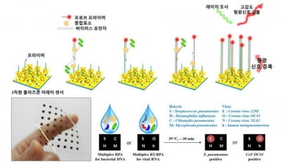 코로나 등 호흡기 감염 30분 만에 확인…신속 검출기술 개발