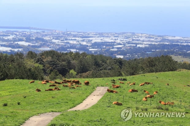 [날씨] '아침 쌀쌀·낮 포근' 이어져…미세먼지 양호