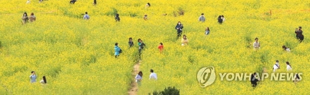 코로나 4차 유행 경고에도…봄볕에 이끌린 나들이객 북적