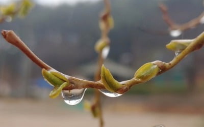 전국 흐리고 비…제주·해안 강풍주의