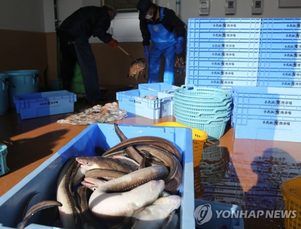 건강 우려를 '뜬소문 피해'로 규정한 일본…한국 배려 없어