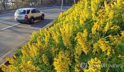 전북 무주·진안·장수 오전 10시 한파주의보 해제