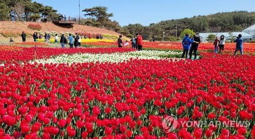 황사 없는 화창한 날씨에 전국 유원지 '북적'