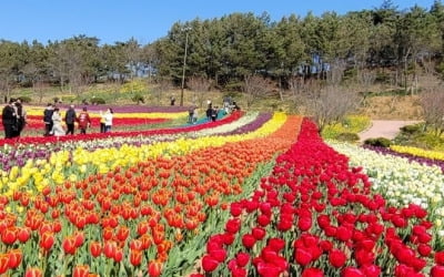 전국 맑은 하늘…20도 안팎 큰 일교차