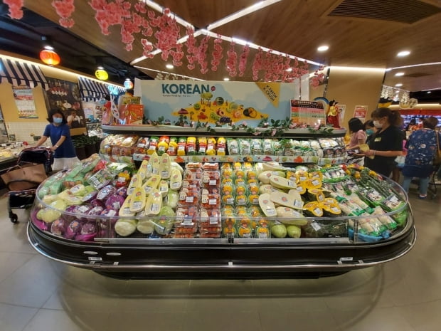 한국 딸기 홍콩 수출 54% 급증…"입점 물량 전량 팔려나가"