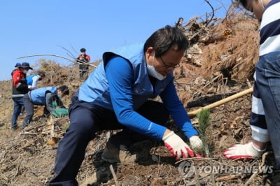 포스코에너지, 산불피해 삼척에 2년째 숲 조성