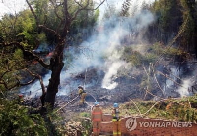 남원 대나무밭 화재 현장서 80대 남성 숨진 채 발견