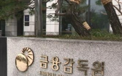 금융당국, 가상화폐 투자 내부 단속…"법령 저촉 가능성, 주의"