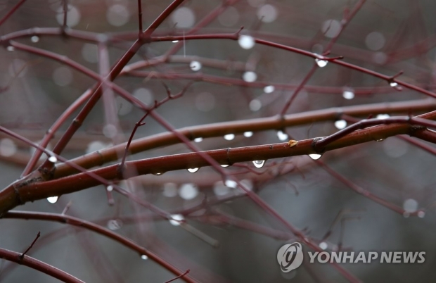 [날씨] 전국 흐리고 곳곳 비…서울 낮 최고 23도