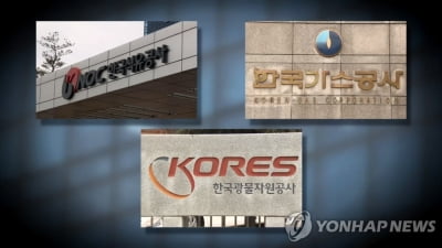 "석유공사 핵심자산 분리하고 정부는 최소한만 지원하라"