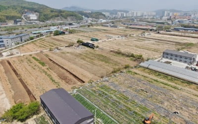 신혼부부 '내집 마련' 기회…3기신도시 신혼희망타운 노리자 [청약ABC] 