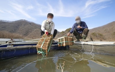 강제 폐업 30년 만에…'내수면 가두리 양식장'서 무슨 일이?