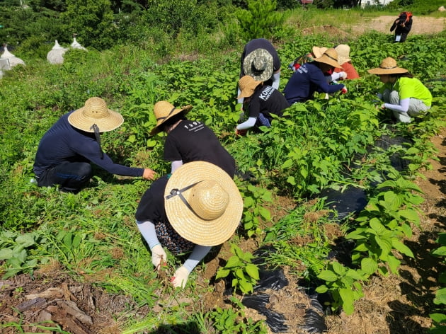 귀산촌? 궁금하면 체험교육부터~