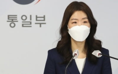 北 공항 건설에 4.4조 투입?…통일부 "지자체 자체사업"