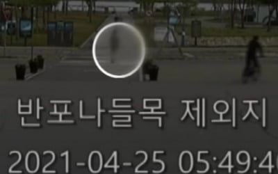 '카지노 룰렛판 의대생' 친구 찍힌 CCTV 공개 "누군가 찾다 주저앉아" [종합]