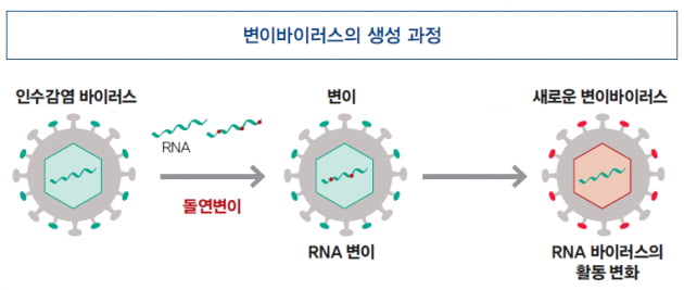 [특별 기고] 변이바이러스를 이겨내는 더 효과적인 방법…백신(Vaccine)인가, 건강(Immunity)인가?]