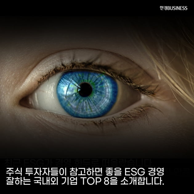 [영상 뉴스] 주식 투자자들이 알아두면 좋을 ESG 경영 잘하는 국내외 기업 TOP 8