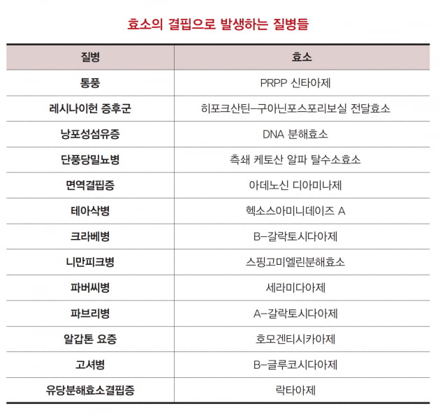 [바이오테크 따라잡기] 생체모방기술의 진화, 더 나은 인공 효소를 그리다