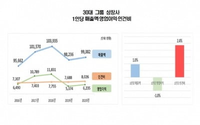 한경연 "30대그룹 직원 1인당 영업익 줄고 인건비 증가"