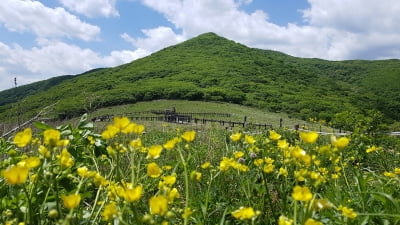 ‘천상의 화원’ 곰배령으로 떠나볼까?