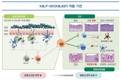  고바이오랩 ‘KBLP-001’