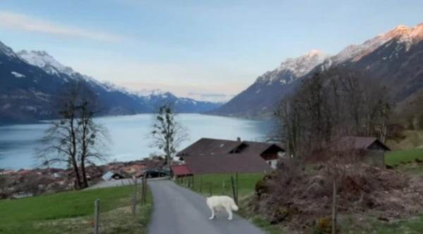 스위스 영상 올리고 "아름다운 중국"…하다 하다 풍경까지 훔쳤다