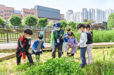 양천구, 도시생태 보전 자원봉사자 모집·양성한다