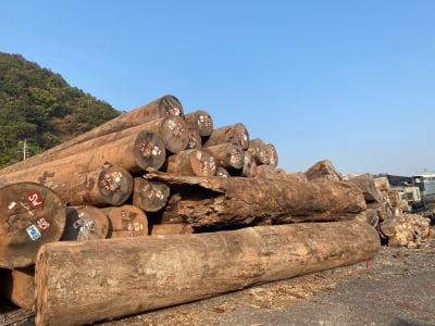 산림청, 합법목재 수입 지원 위한 중국 표준지침 개정