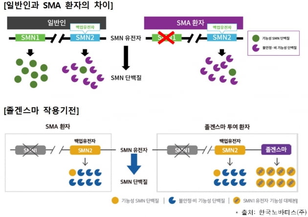 약가 20억원, 희귀질환 유전자치료제 '졸겐스마'…국내 허가