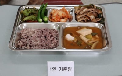 [단독] 마침 삼겹살데이?…'고기多' 군 식판, 평소 3배 가격 특식