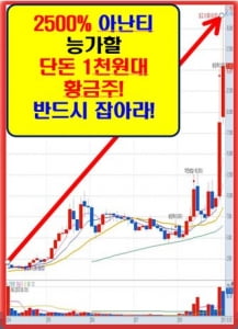 5월! 가장 주목해야 할 단돈 1천원대 황금주!