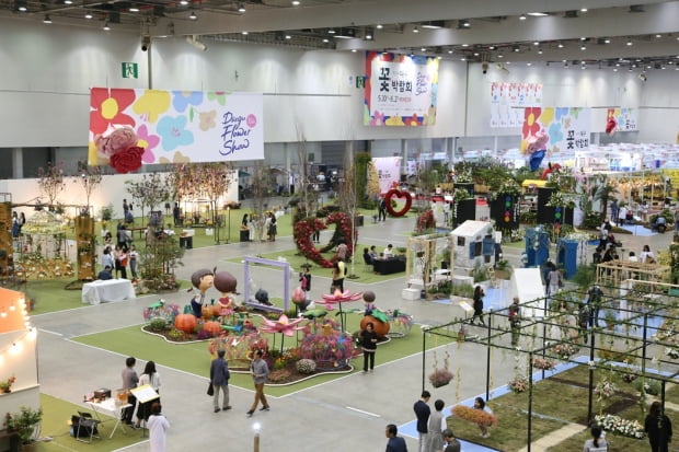 제12회 대구꽃박람회 5월 27~30일 개최… 코로나19 이후 최대 규모 화훼 네트워크 플레이스