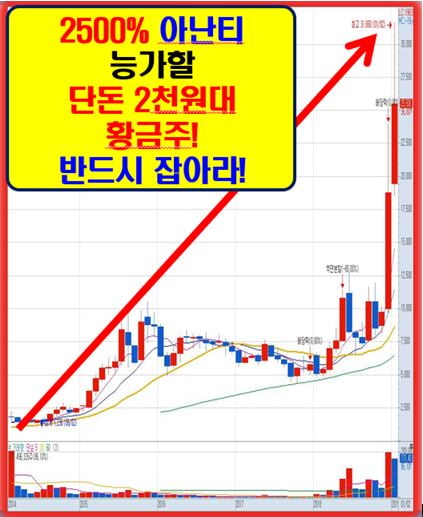 5월! 가장 주목해야 할 단돈 2천원대 황금주!