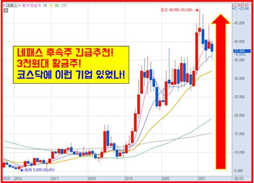 황금종목! 조용히 사서 묻어놔라! 6月 정말 큰돈 된다!